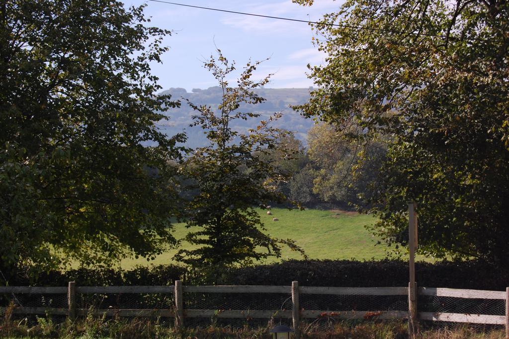 Llansabbath Country House B&B Abergavenny Buitenkant foto